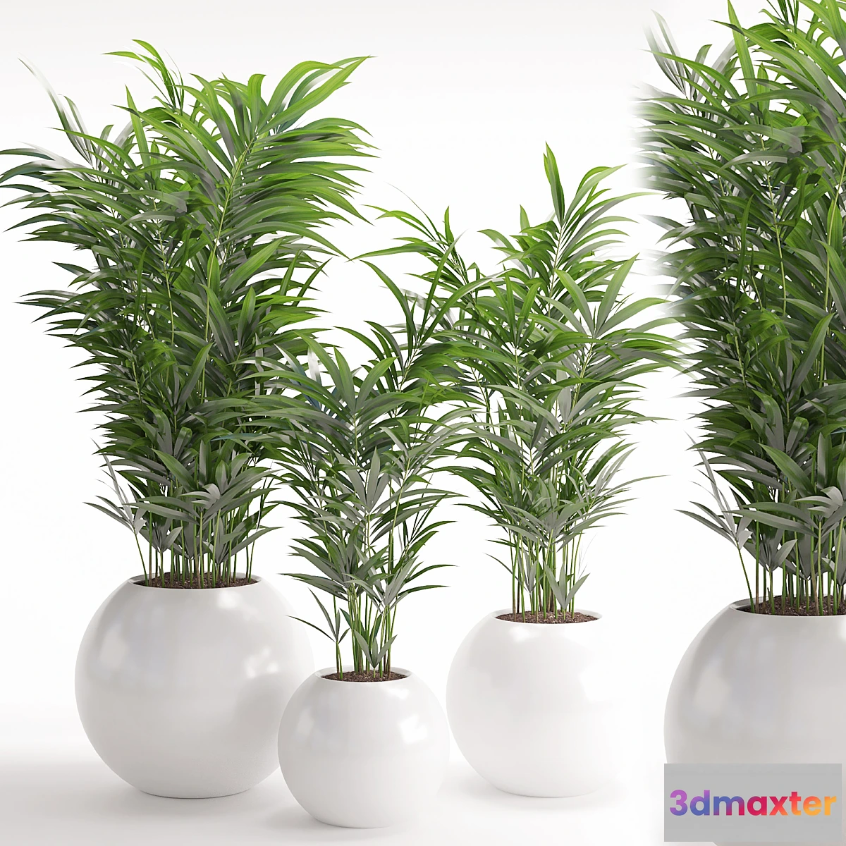 1327072 - Houseplant 20 3D Max