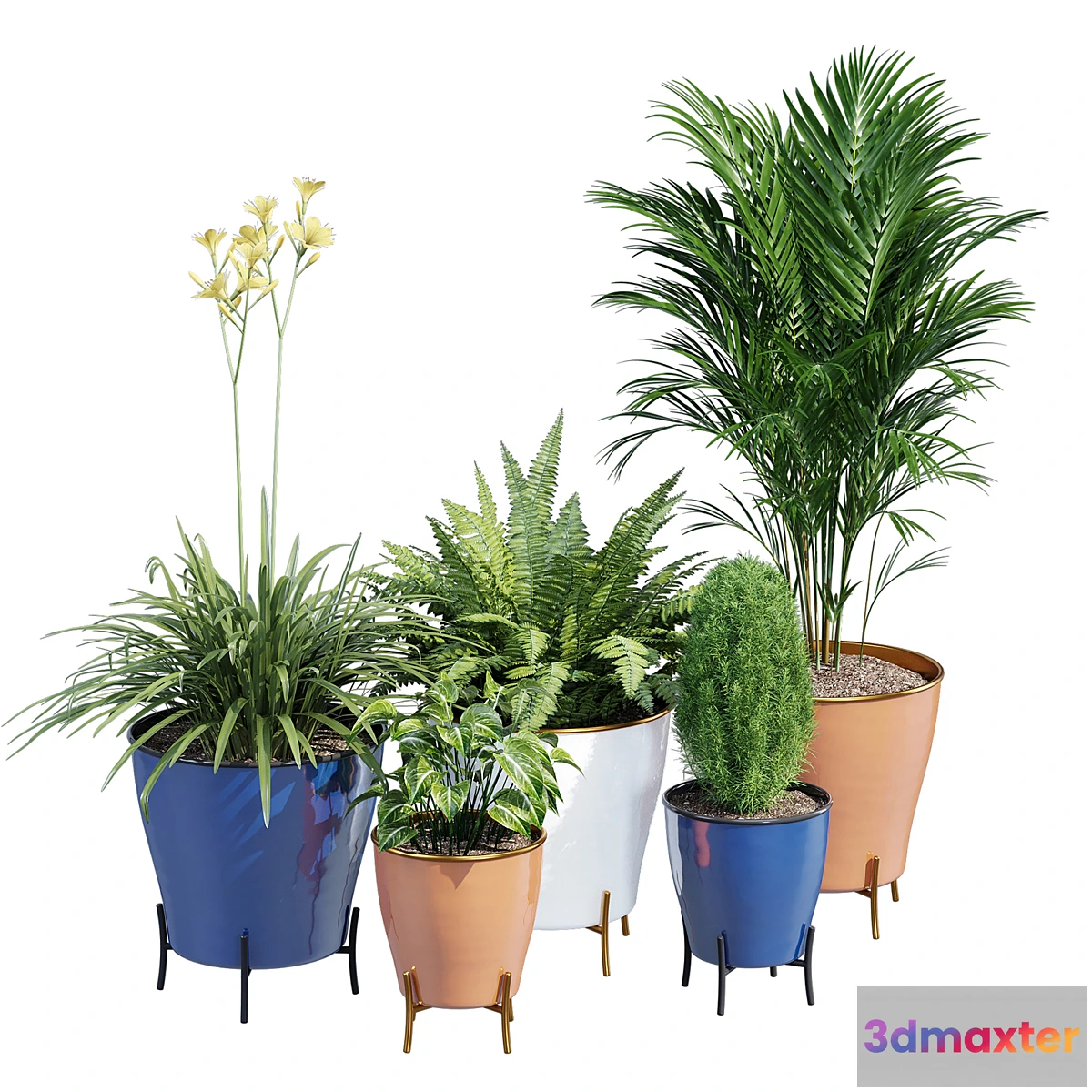 1327841 - Latitude 3D Max