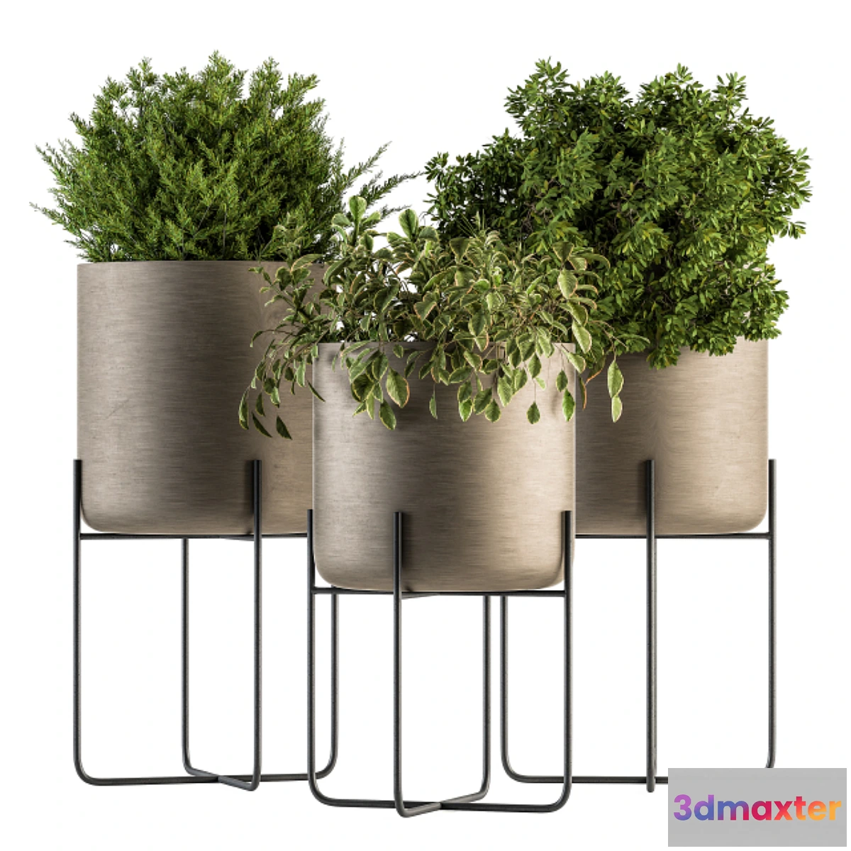 1329251 - indoor Plant Set 149 - Plant in Pot 3D Max