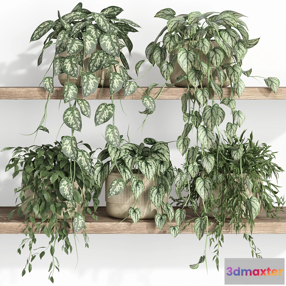 1329330 - plants on shelf 22 3D Max