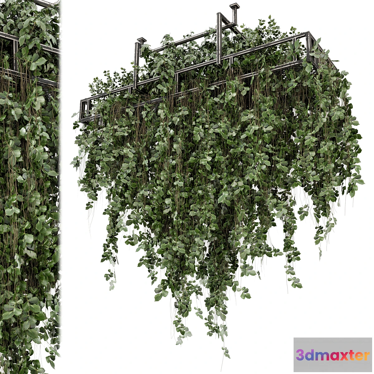 1329750 - Indoor Hanging Plants in Metal Box - Set 2009 3D Max