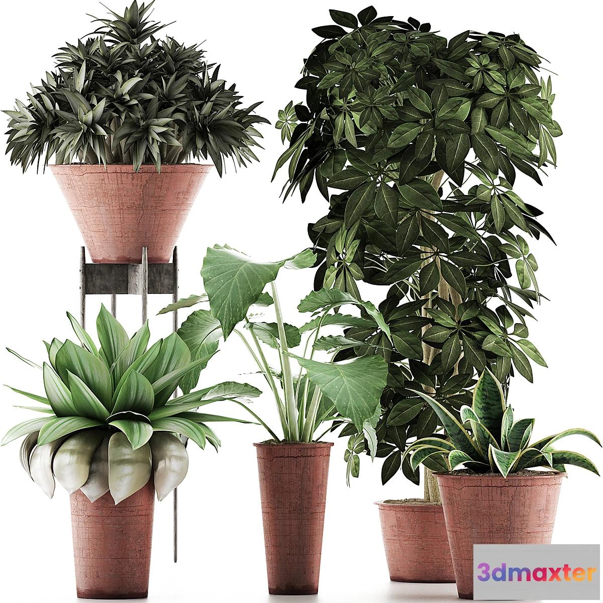 1329901 - Plants Collection 35 3D Max