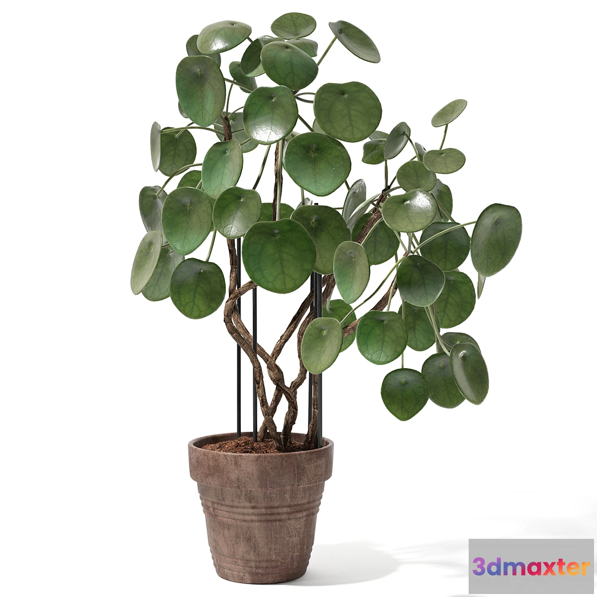 1330480 - Set of plants 12 3D Max