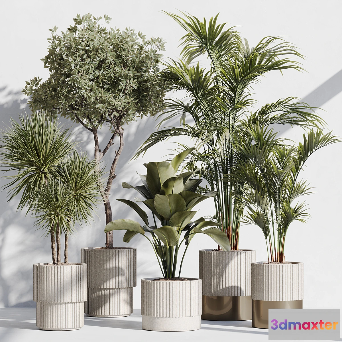 1330984 - indoor plant set 78 3D Max