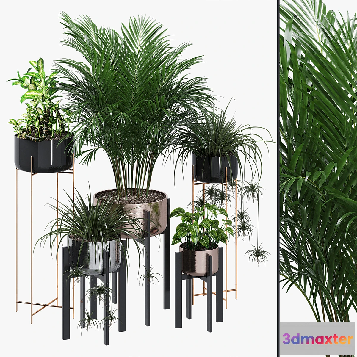 1331568 - Dash edge 3D Max