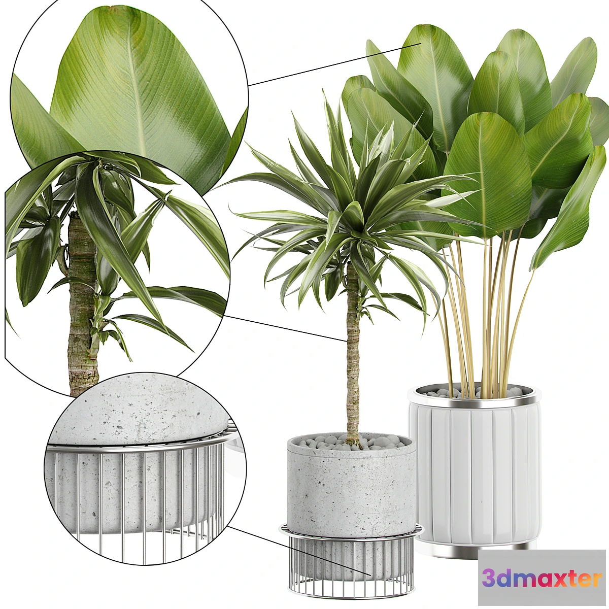 1331956 - INTERIOR FLOWER PACK 62 3D Max