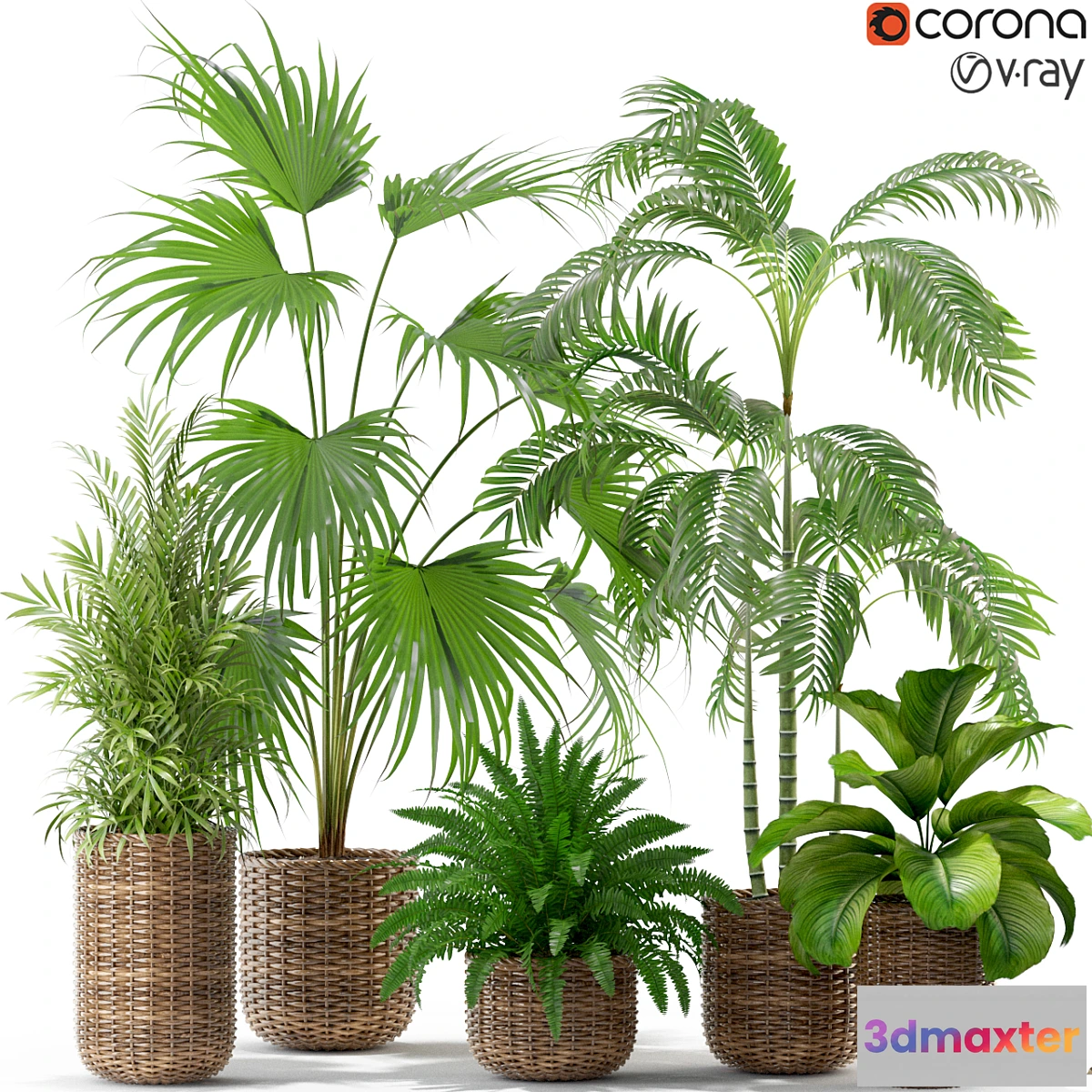 1332403 - Plants collection 338 3D Max