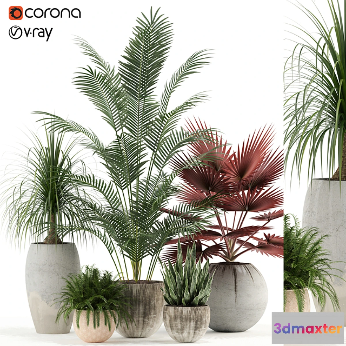 1333680 - Plants collection 122 3D Max