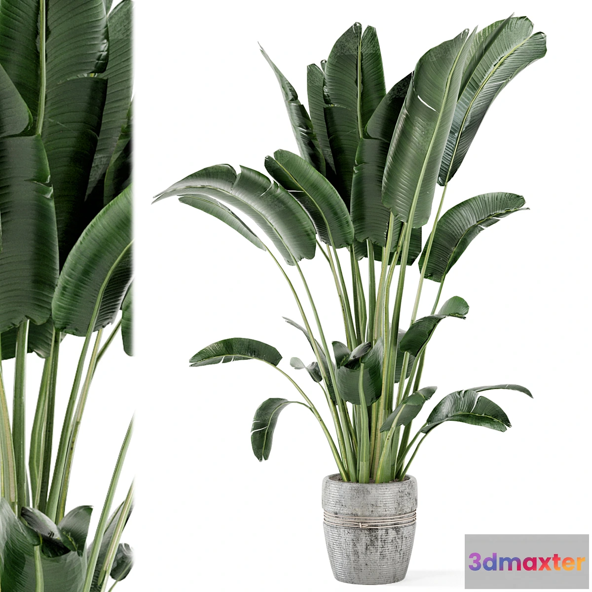 1333737 - Indoor Plants in rusty Concrete Pot - Set 124 3D Max