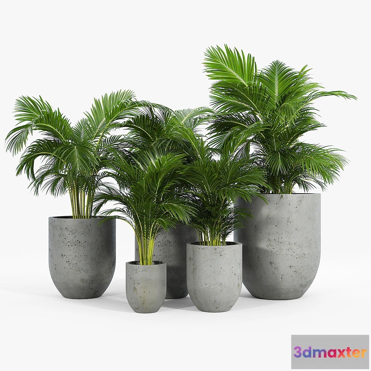 1333784 - Neo planter 3D Max