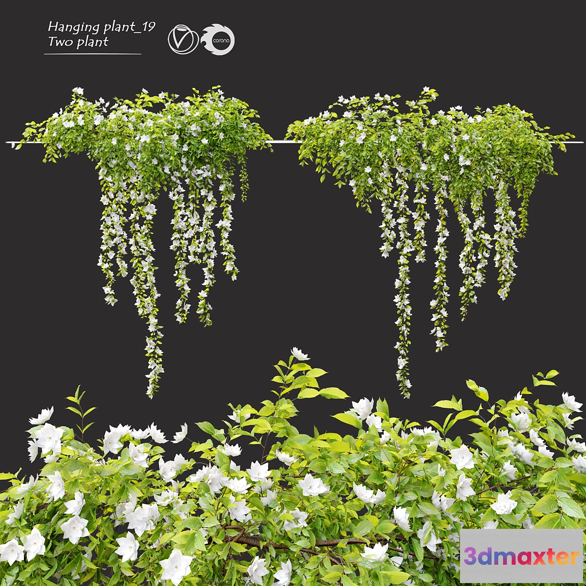 1334297 - Hanging Plant 19 3D Max