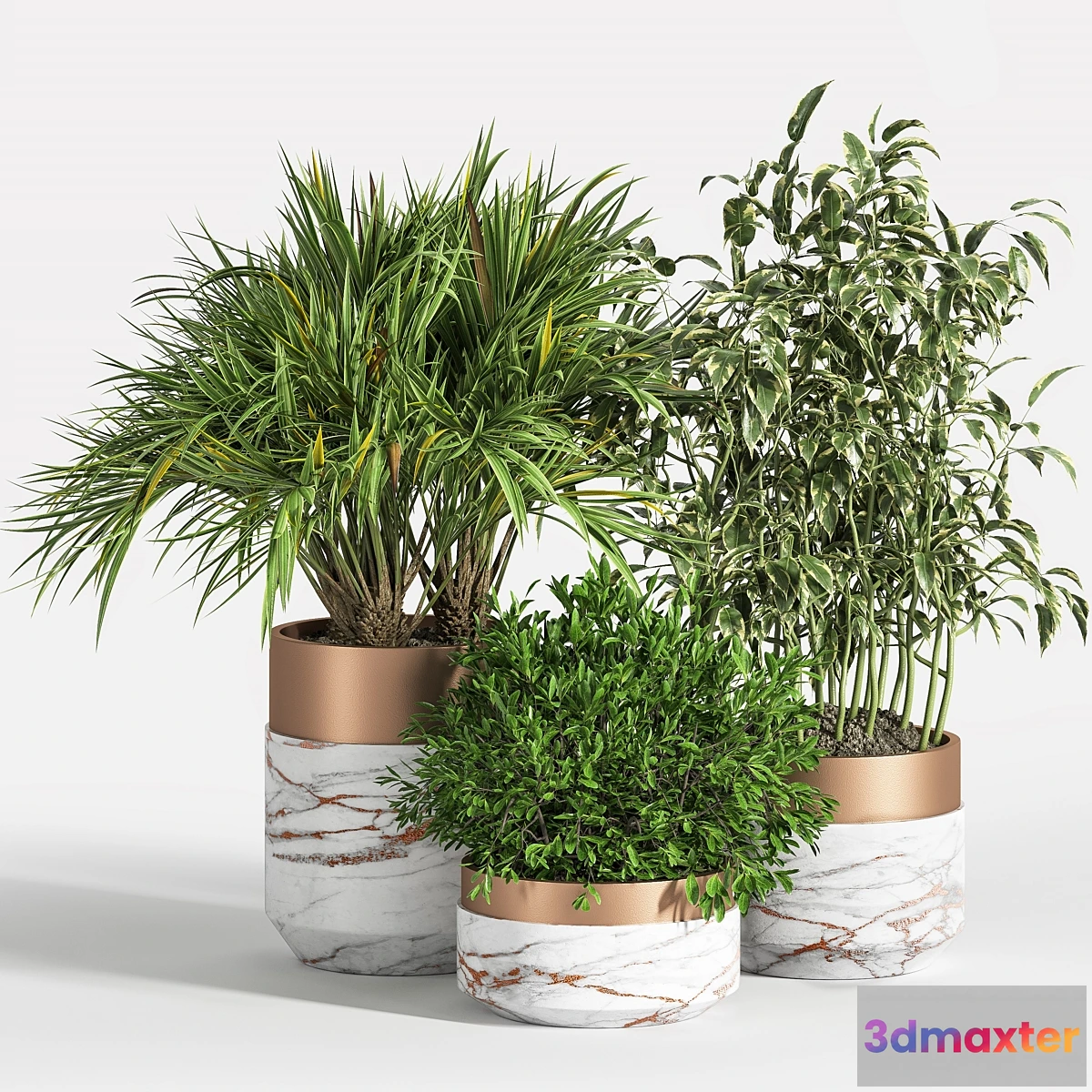 1334551 - Indoor Plant Set 16 3D Max