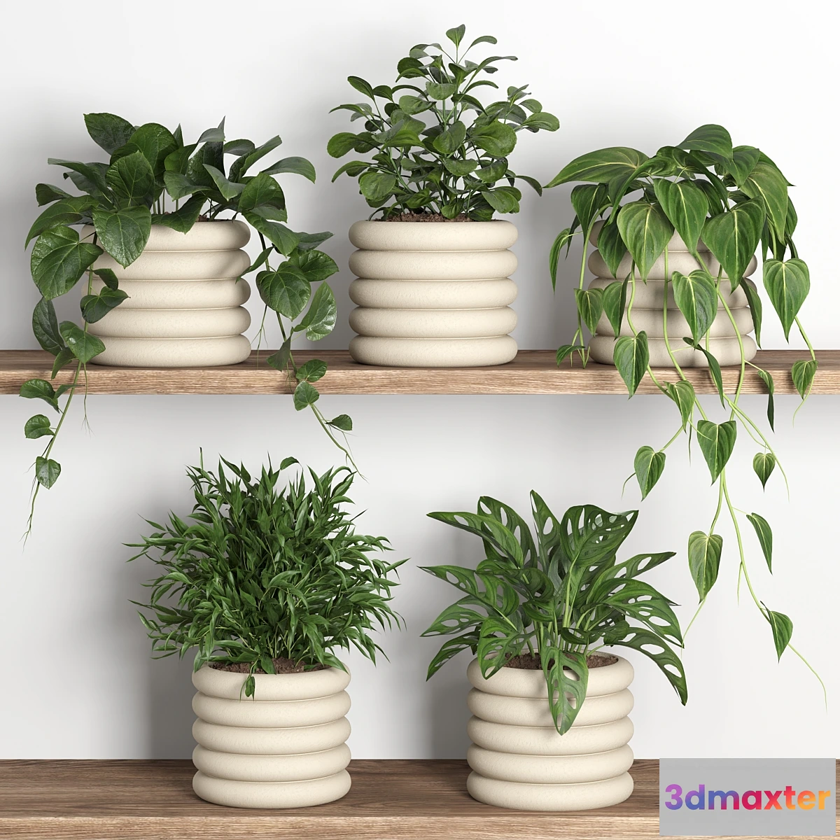 1334635 - plants on shelf 06 3D Max