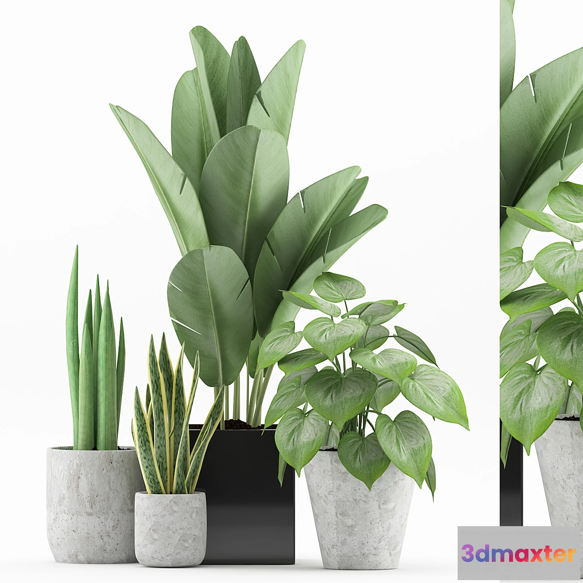 1334933 - Plant 58 3D Max