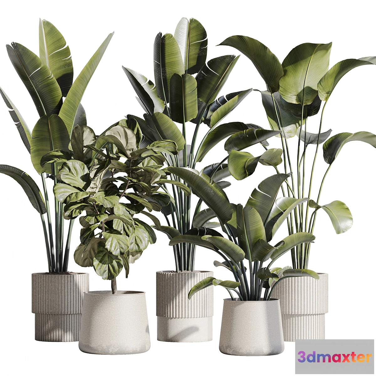 1336752 - indoor plant set 75 3D Max