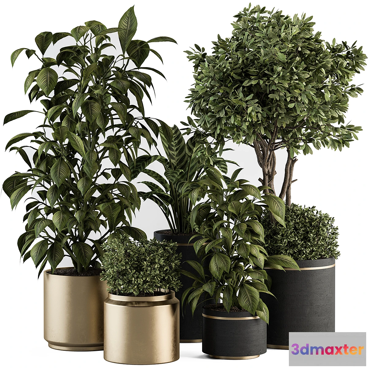 1337814 - indoor Plant Set 378- Tree and Plant Set in pot 3D Max
