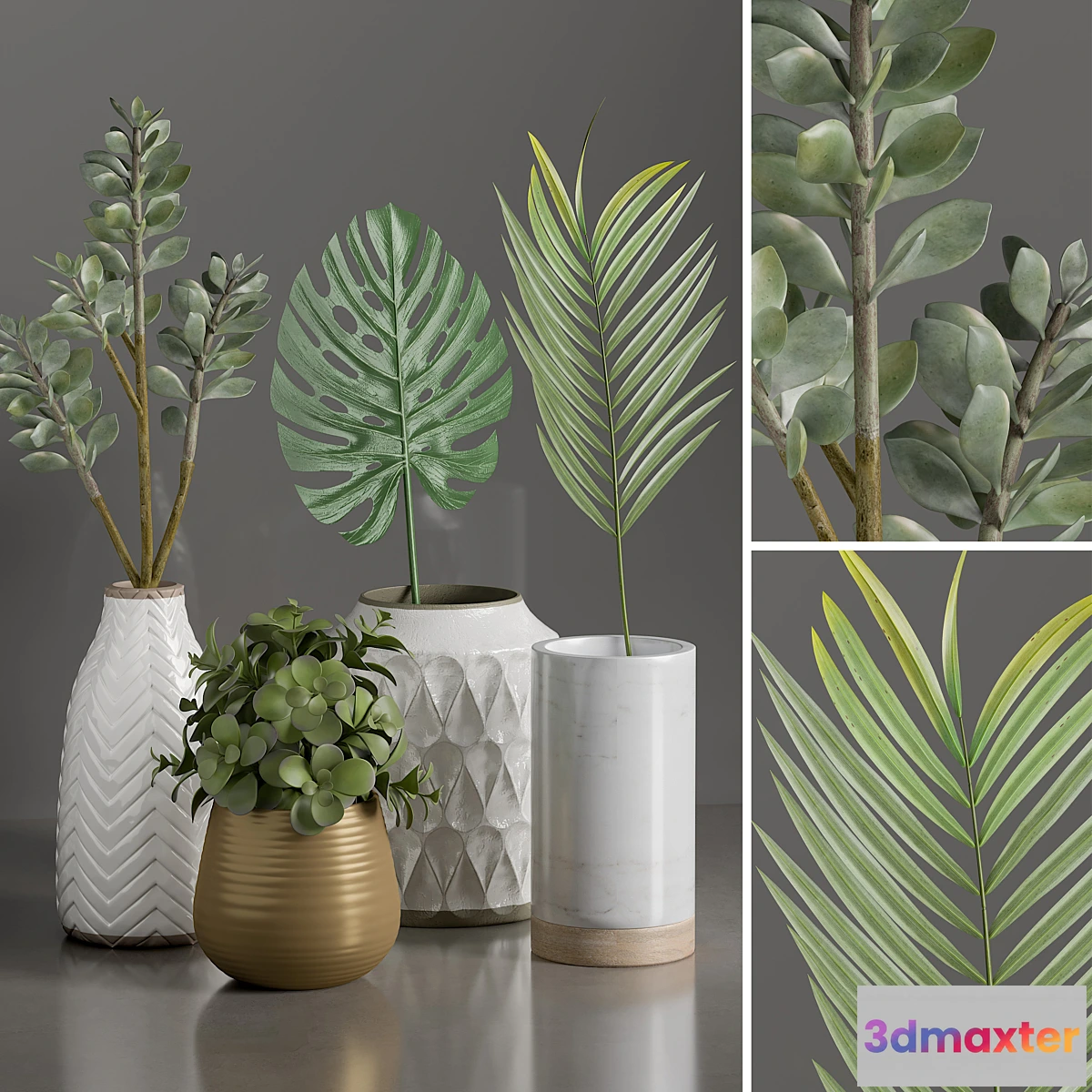 1338112 - Plants 1 3D Max