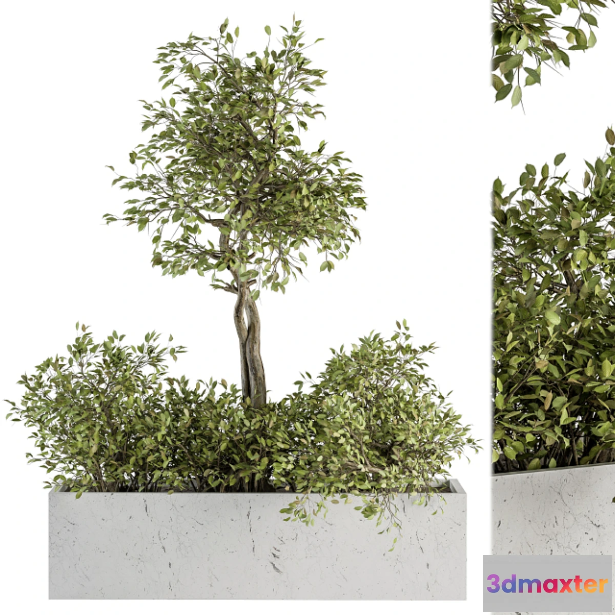 1338371 - indoor Plant Set 235 - Plant Set in Box 3D Max