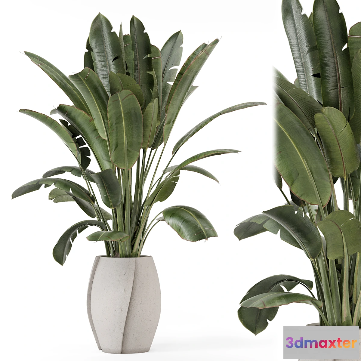 1338436 - Indoor Plants in rusty Concrete Pot - Set 1612 3D Max
