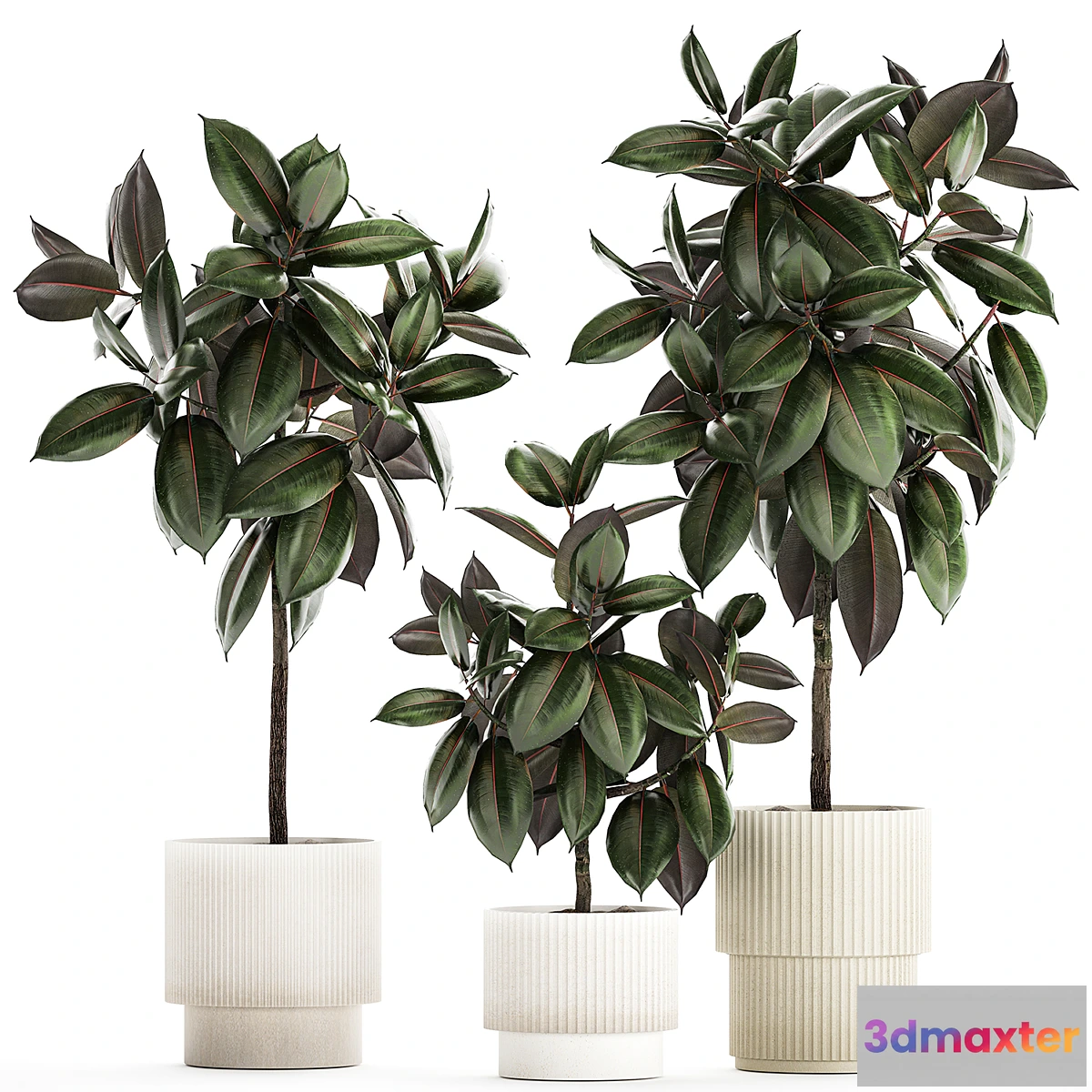 1339265 - Plant collection 1432 - No.2 3D Max