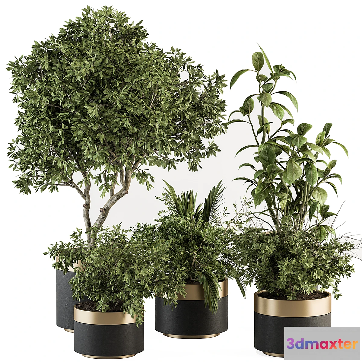 1339774 - indoor Plant Set 373- Tree and Plant Set in pot 3D Max