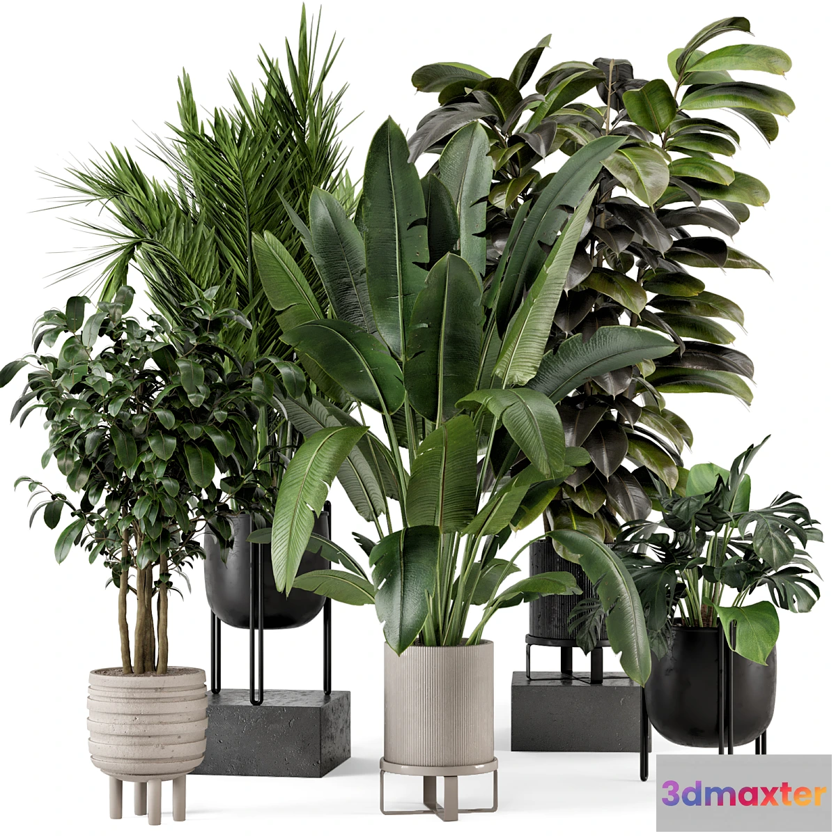 1341177 - Indoor Plants in Ferm Living Bau Pot Large - Set 879 3D Max