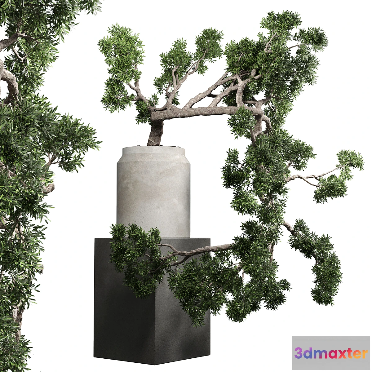 1341797 - bonsai tree vase old concrete dirt pot 3D Max