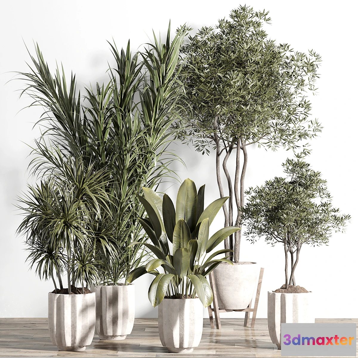 1341819 - indoor plant - set 60 - No.2 3D Max