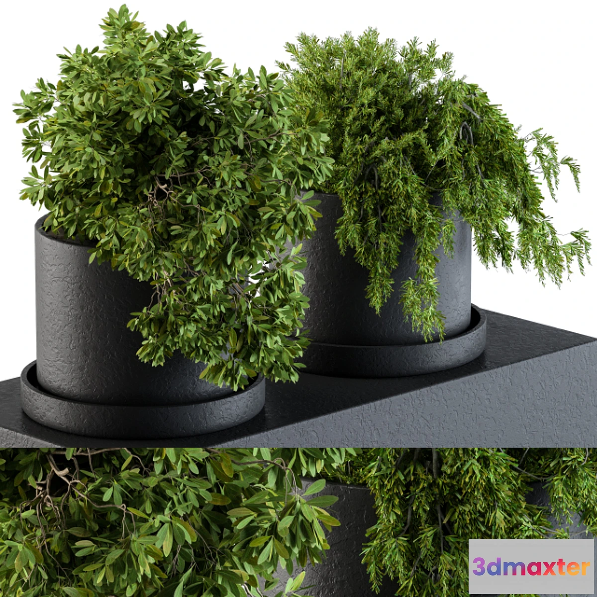 1342133 - Plants set 47 - No.2 3D Max