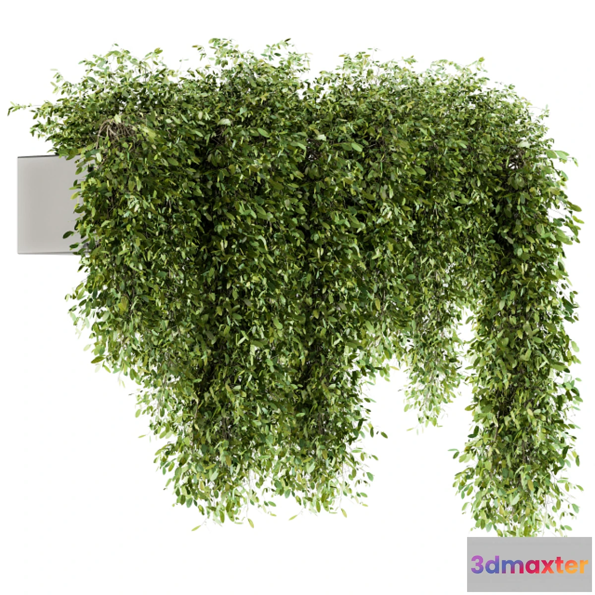 1343169 - indoor Plant Set 98 - Hanging Plants 3D Max