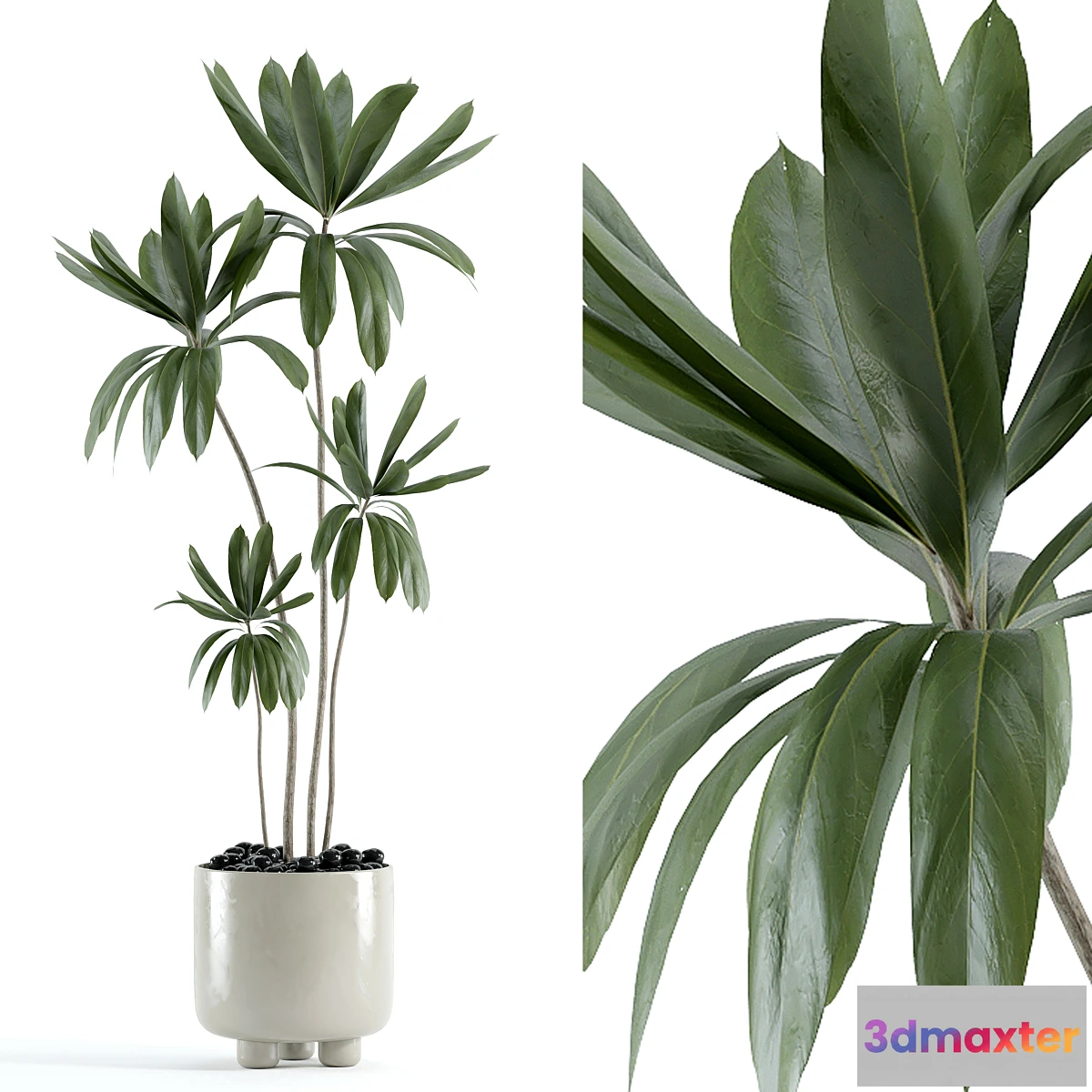 1344219 - indoor plant 145 - No.2 3D Max