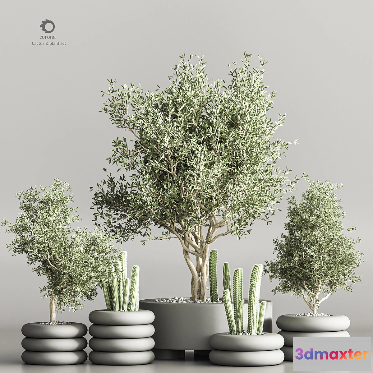 1347628 - cactus & plant vol 06 3D Max