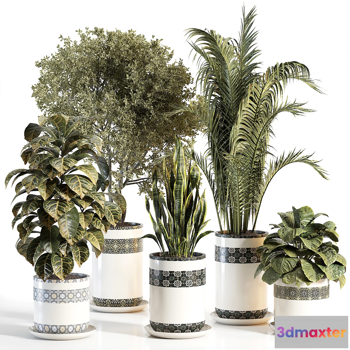 1347850 - indoor plant 02 - No.2 3D Max