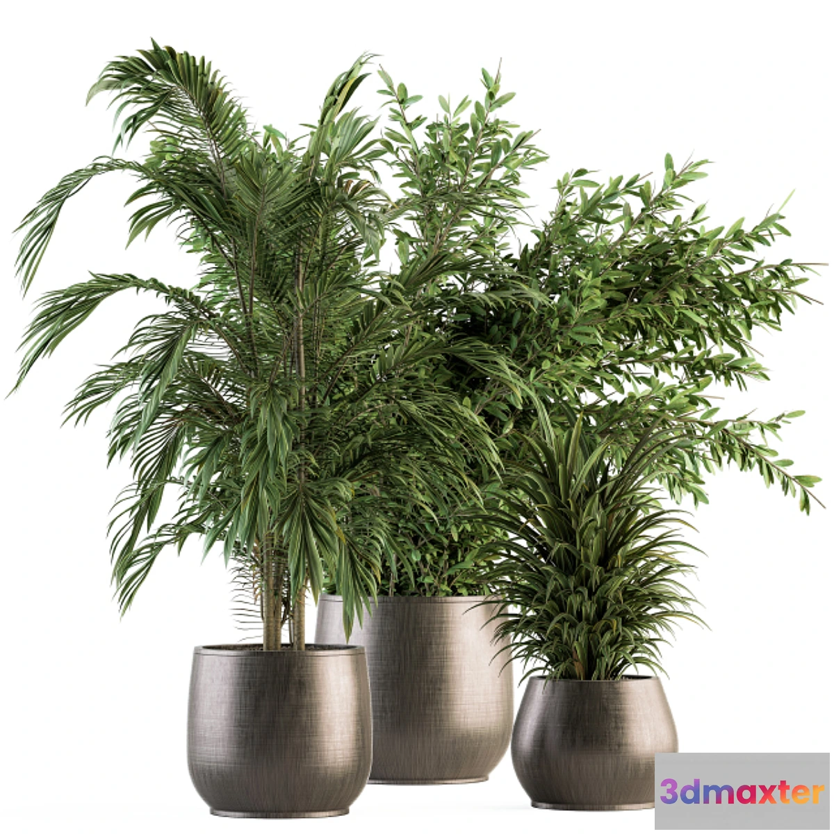 1347914 - indoor Plant Set 112 - Tropical Plants 3D Max