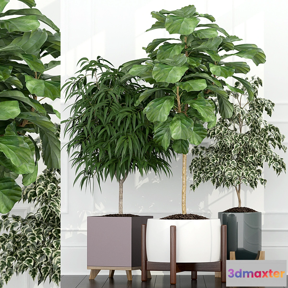 1348046 - Plants collection 67 3D Max