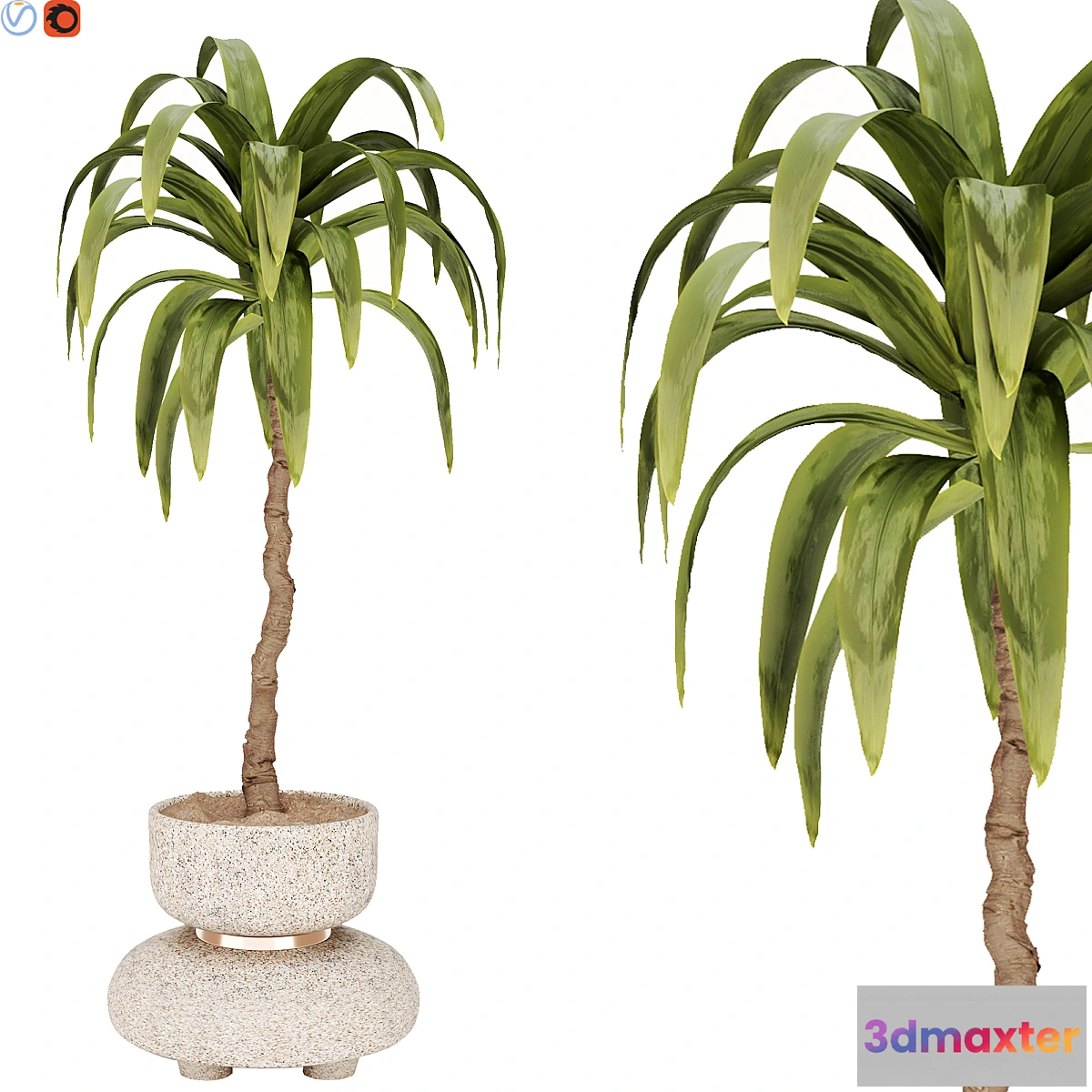 1348170 - indoor plant 38 3D Max