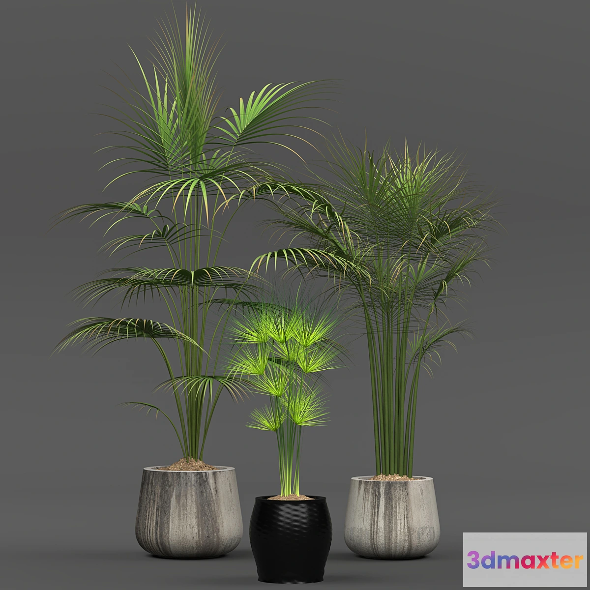 1349971 - Collection of plants 01 3D Max