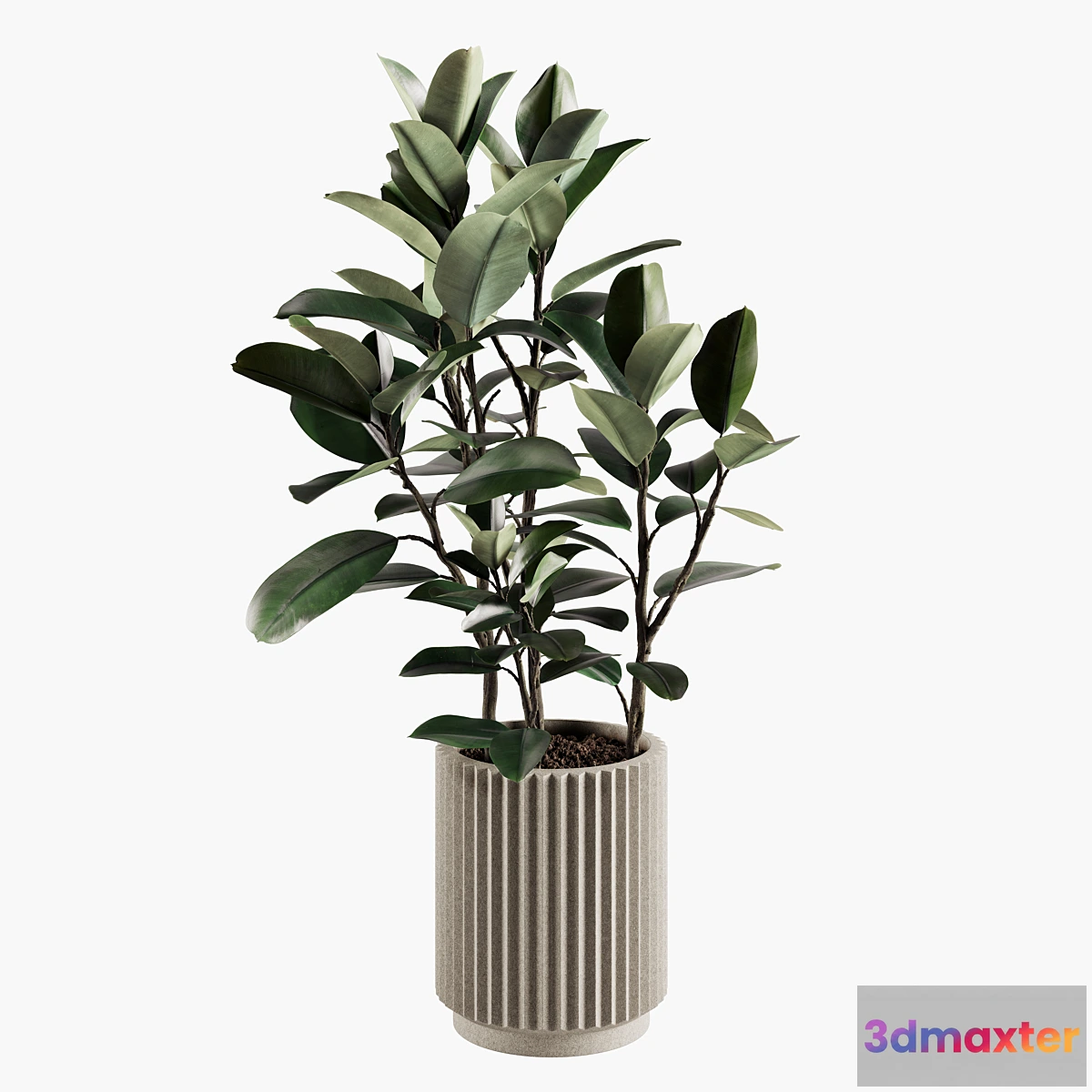1350073 - Indoor Plants Set 06 3D Max