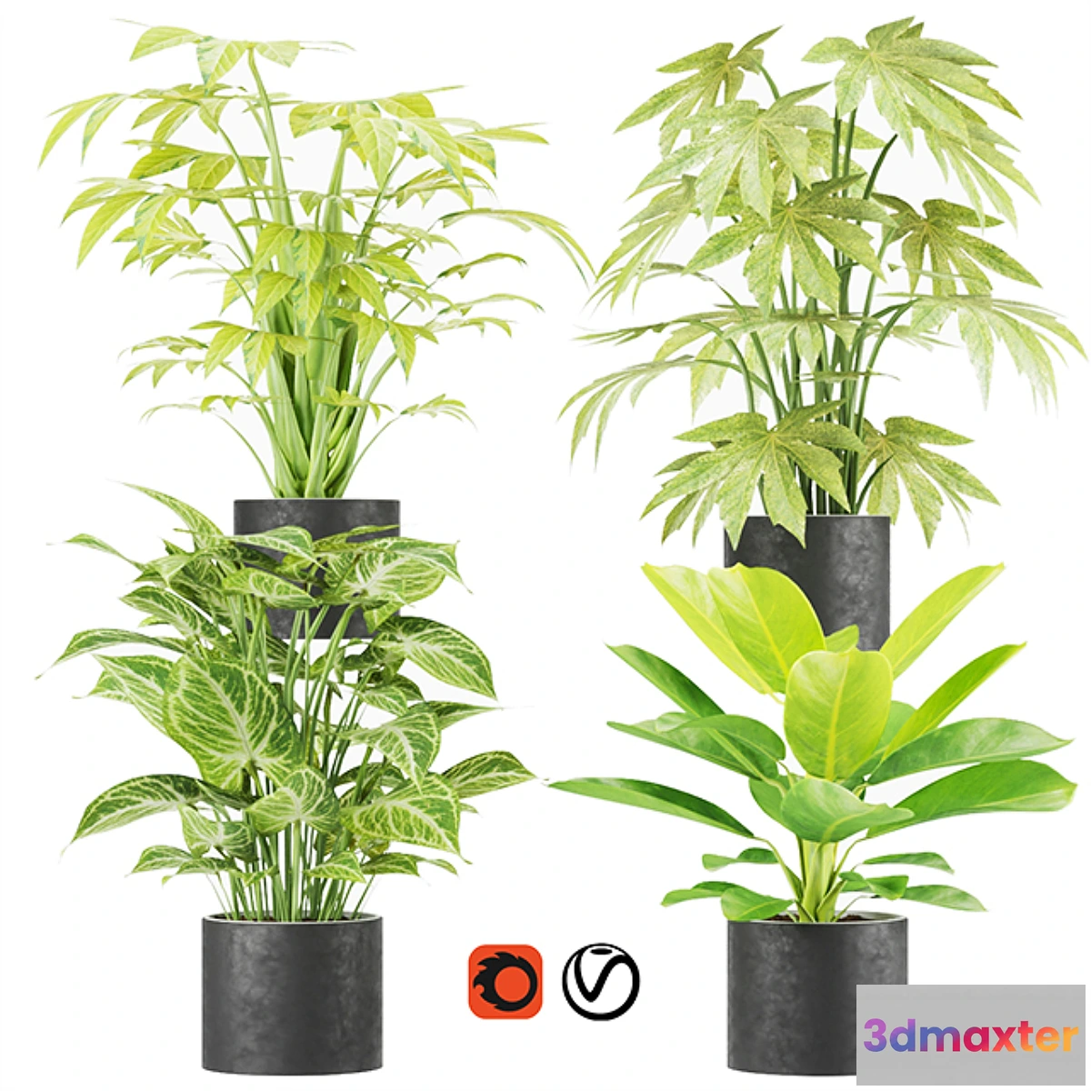 1350659 - Collection plant vol 2 3D Max