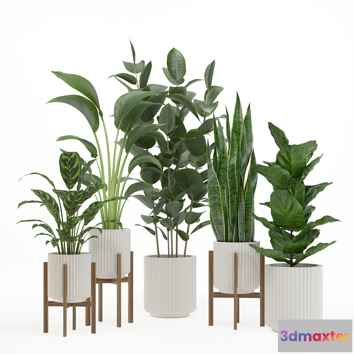 1350807 - indoor plant set 003 - No.2 3D Max