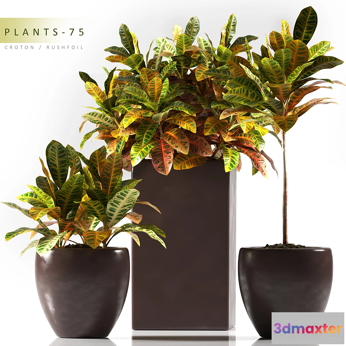 1351613 - PLANTS 75 3D Max