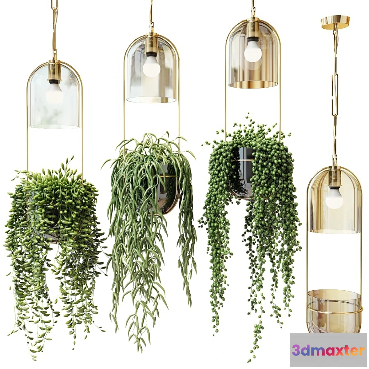 1352239 - Ampel plants in hanging planters 3D Max