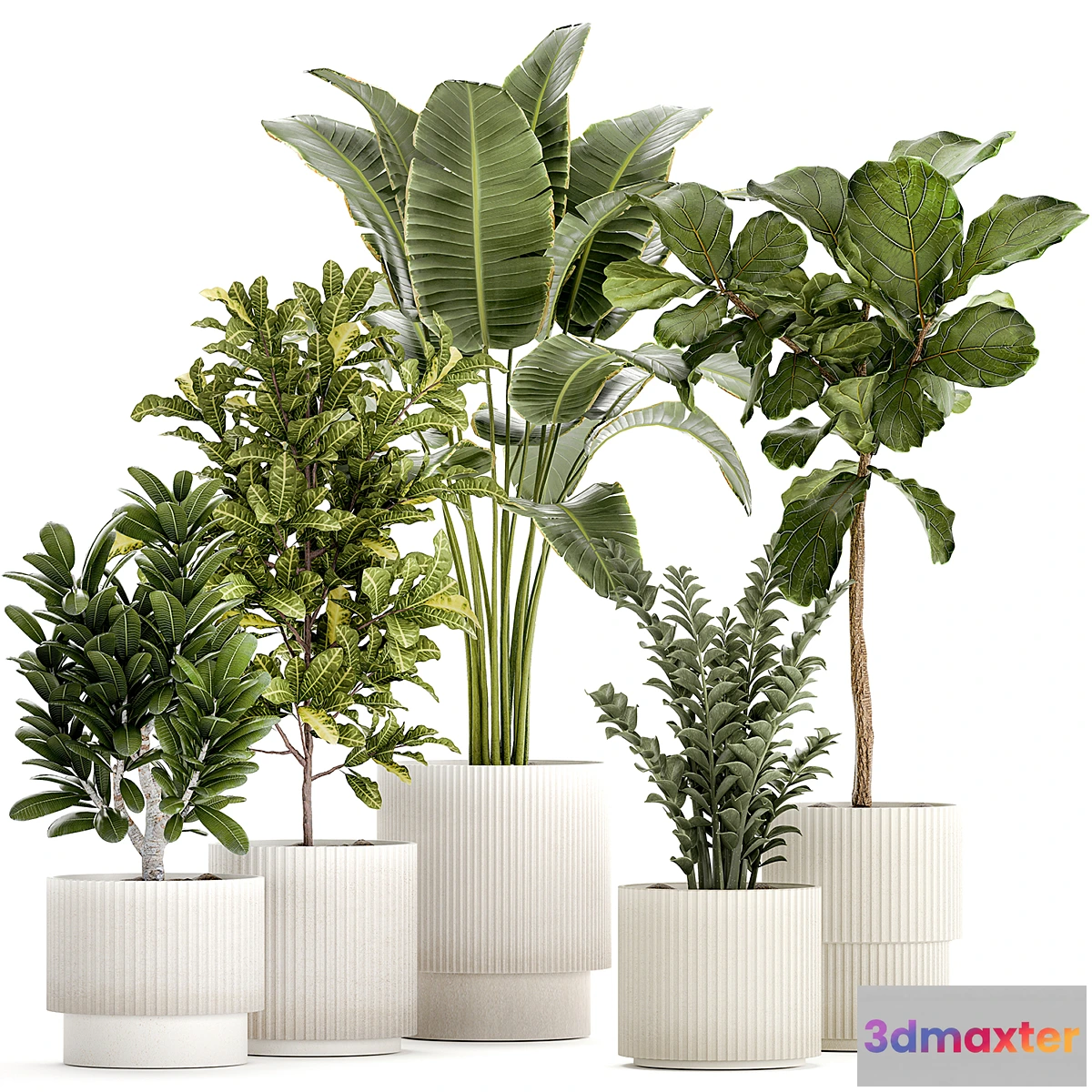 1352550 - Plant collection 1407 3D Max