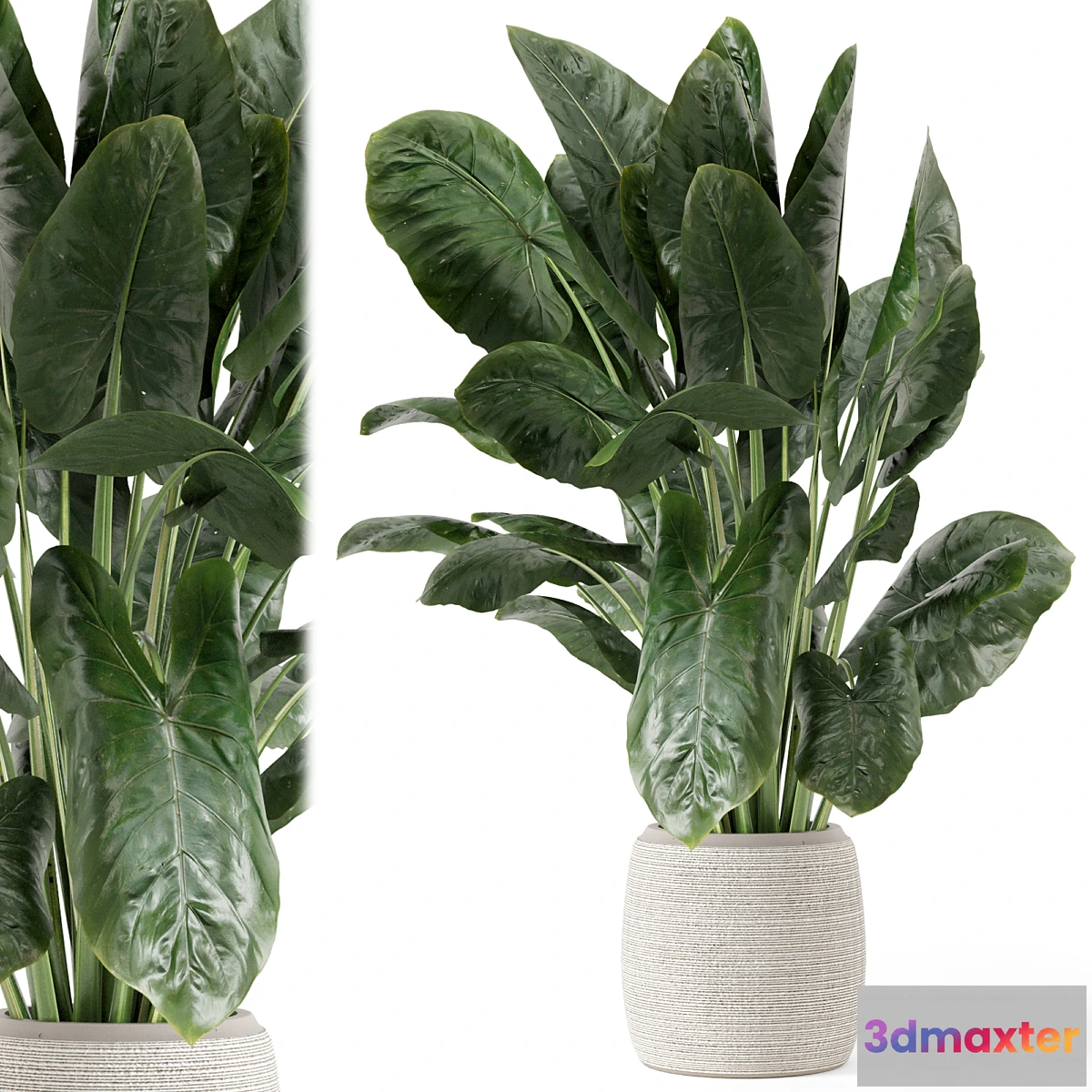 1352727 - Indoor Plants in Handmade Stone Pot - Set 1797 3D Max