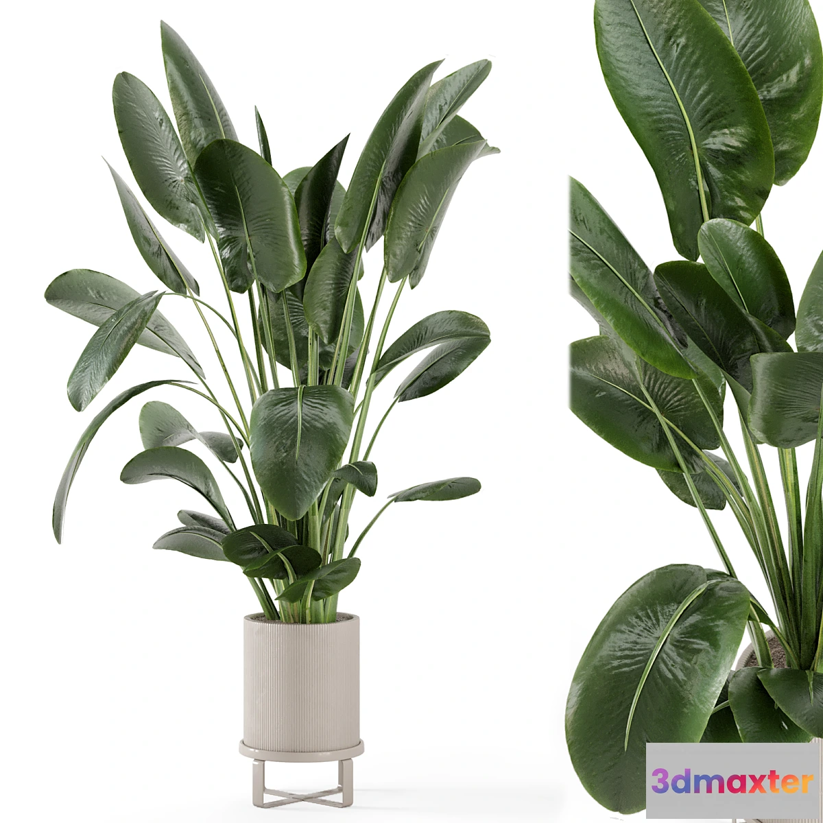 1352772 - Indoor Plants in Ferm Living Bau Pot Large - Set 765 3D Max