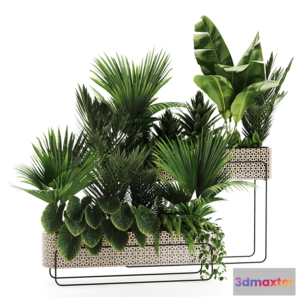 1353633 - Indoor plants in box set-70 3D Max