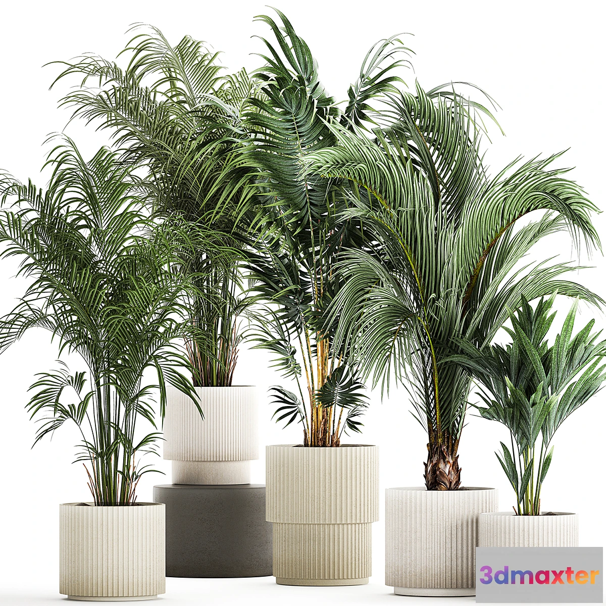 1355698 - Plant collection 1408 - No.2 3D Max