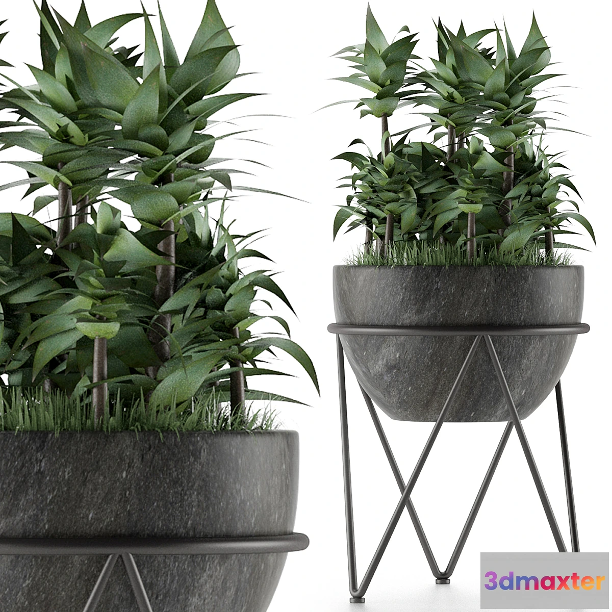 1355883 - House Plant 21 - No.2 3D Max