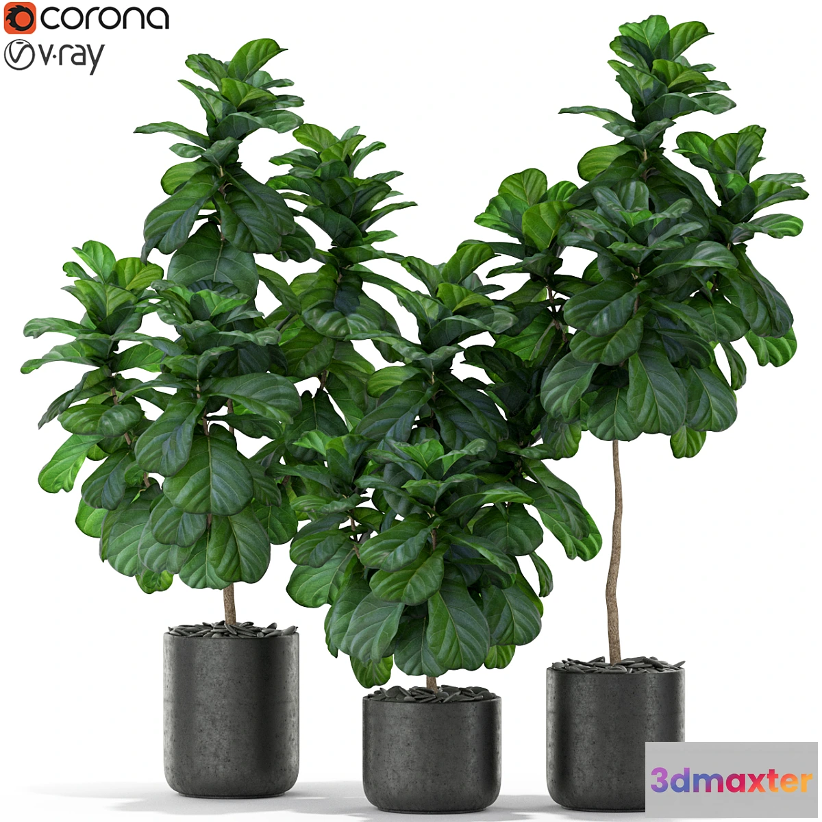 1356005 - Plants collection 366 3D Max