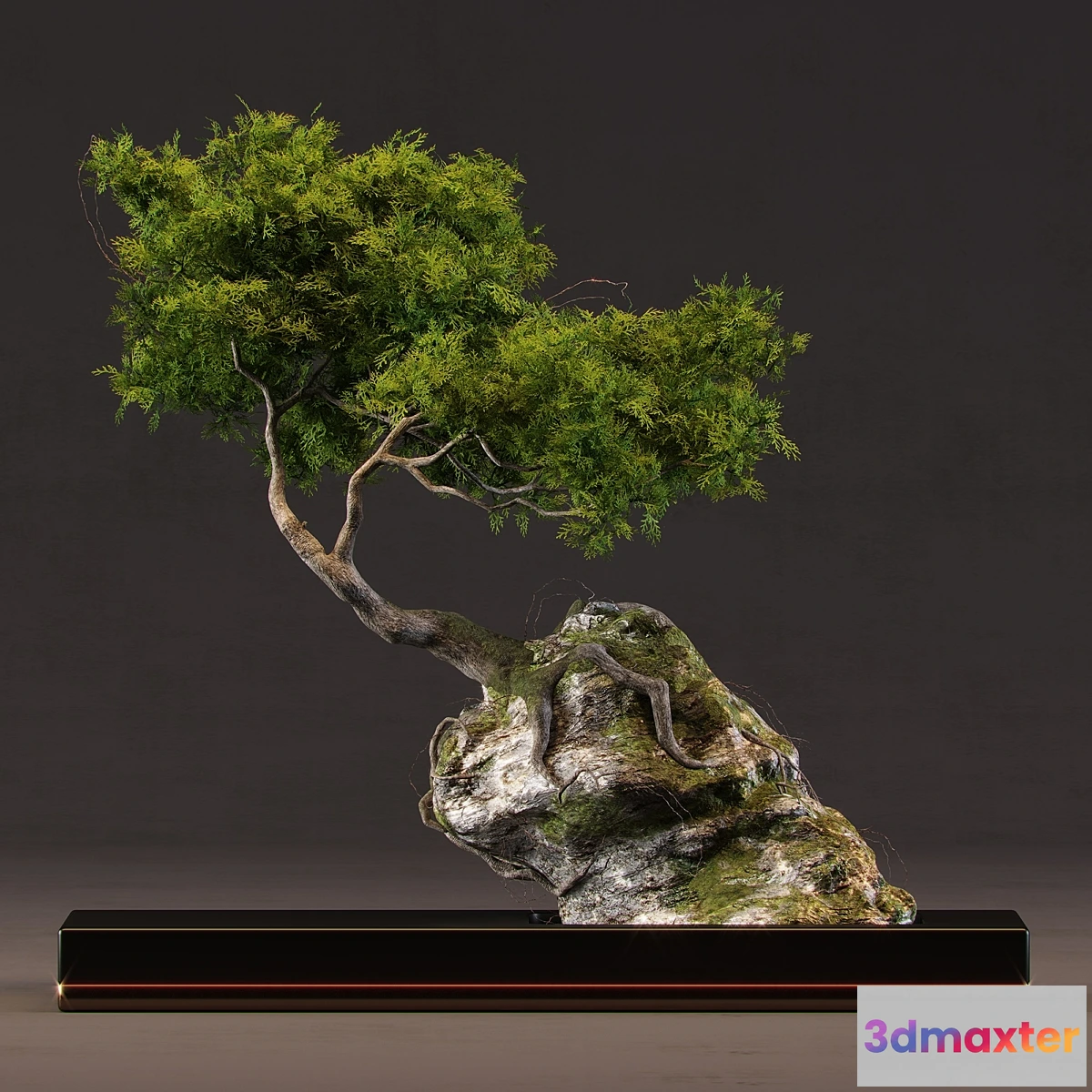 1356025 - Bonsai - No.2 3D Max